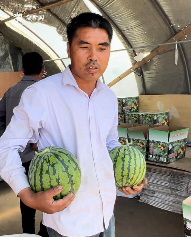 杭州有人凌晨6点赶来抢它!田边挤满私家车