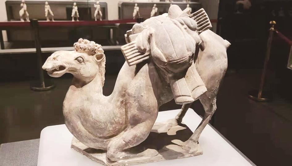 博物馆日, 一起去看邯郸的 "镇馆之宝"