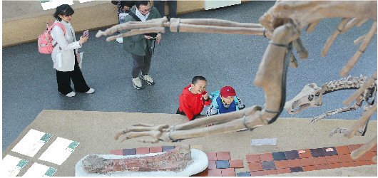 梦回白垩纪 邂逅大恐龙