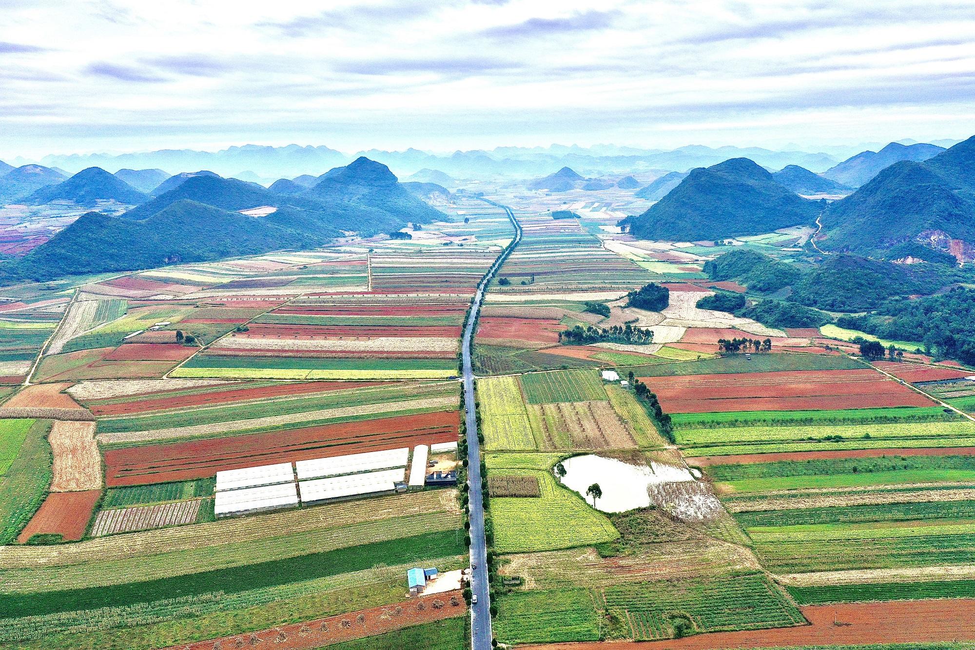 云南丘北绿美农村公路:连结党心民心助力乡村振兴