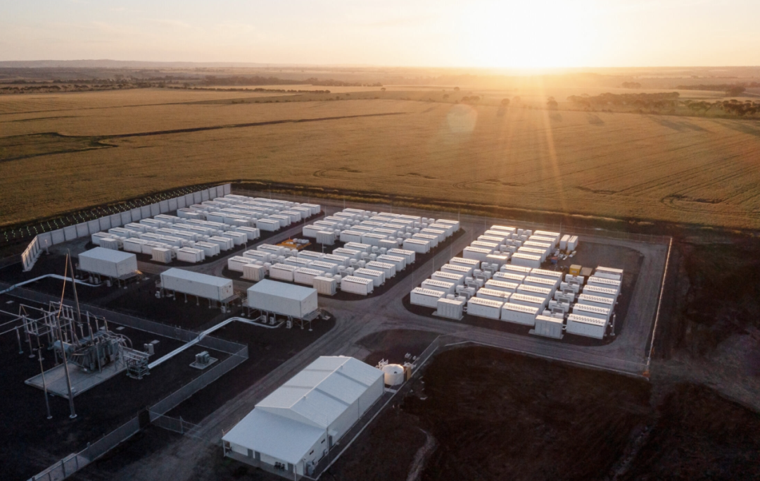 图片来源：浦东发布