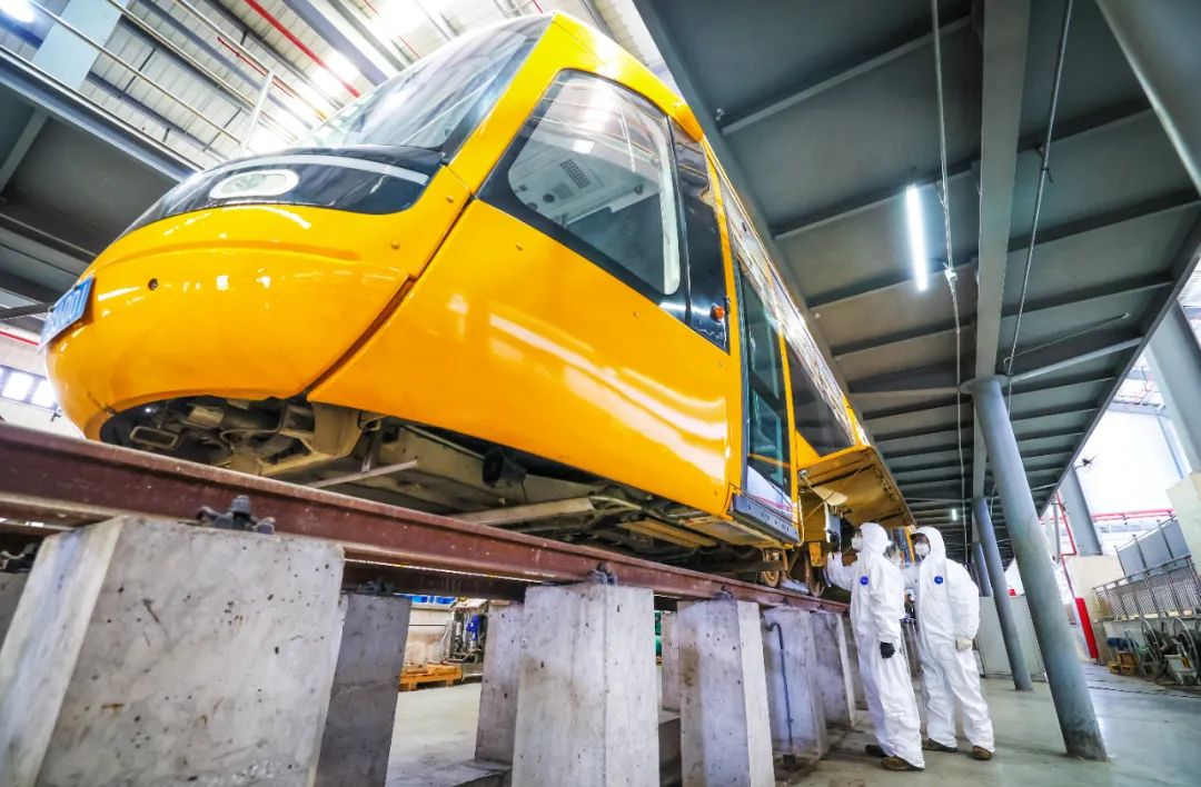 松江"蚕宝宝"做好迎夏准备|有轨电车_新浪财经_新浪网