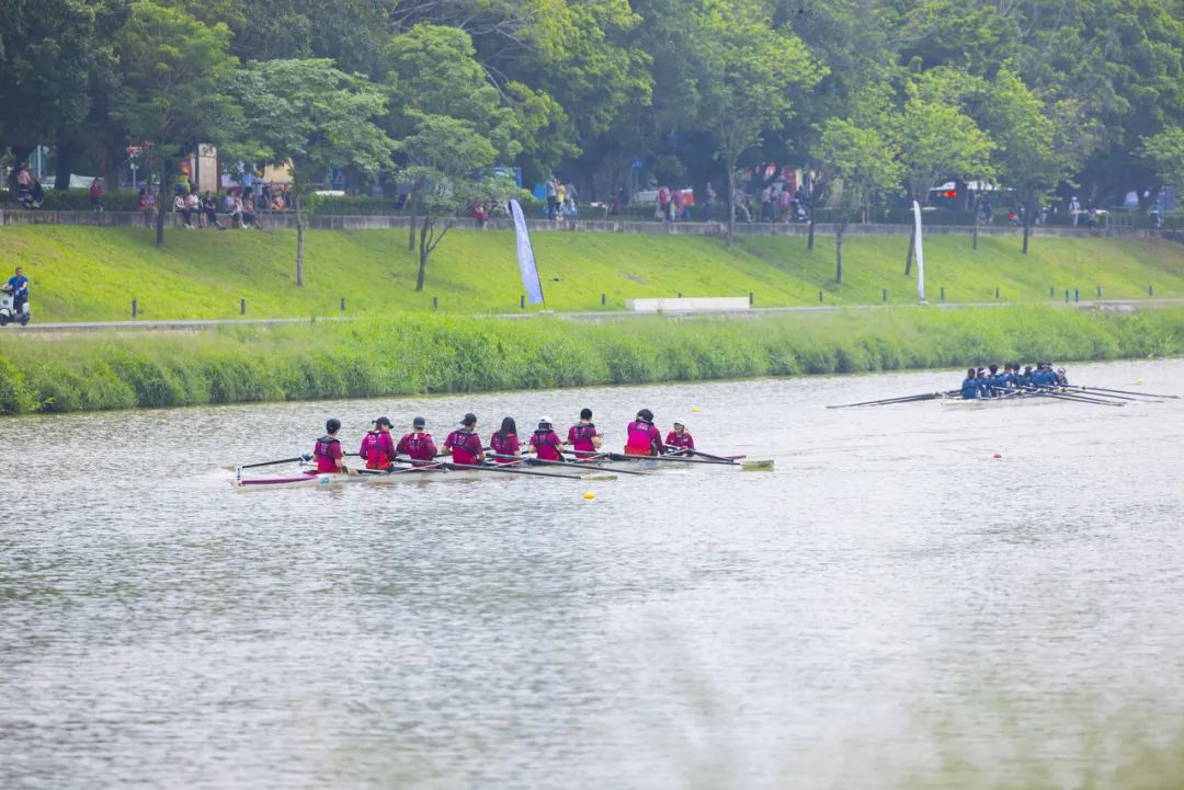 开赛!"艇"进茅洲河