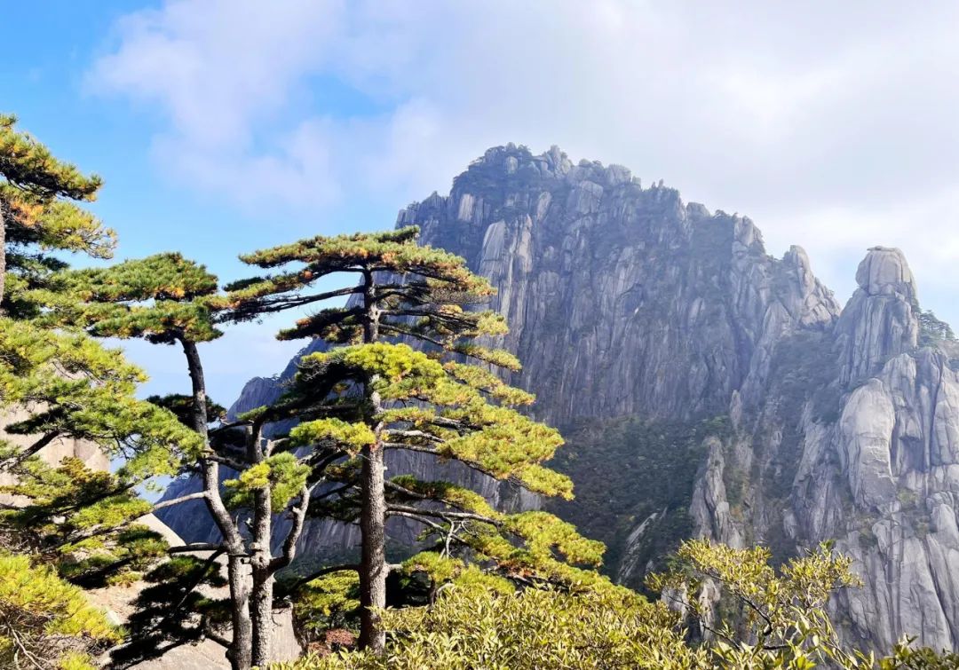 明天!黄山天都峰恢复开放