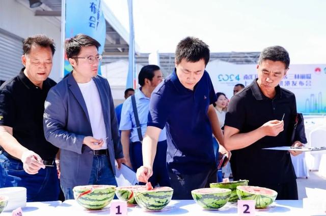 浦东新区农协会秘书长厉建飞介绍,相比于往年,今年的南汇8424西瓜上市