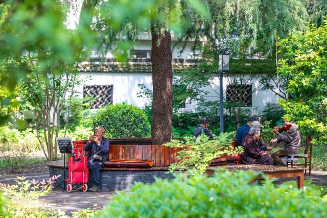 民办实事内容,并按照"300米见绿,500米见园"的标准,在城区"见缝插绿"