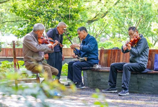 民办实事内容,并按照"300米见绿,500米见园"的标准,在城区"见缝插绿"