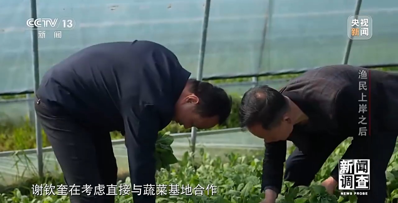 很多渔民这几年当中已经习惯了这里的生活,所以说我只能向前冲,把这些