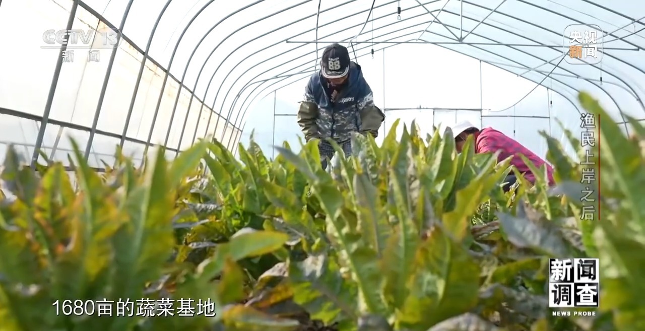 还有哪些现实问题?