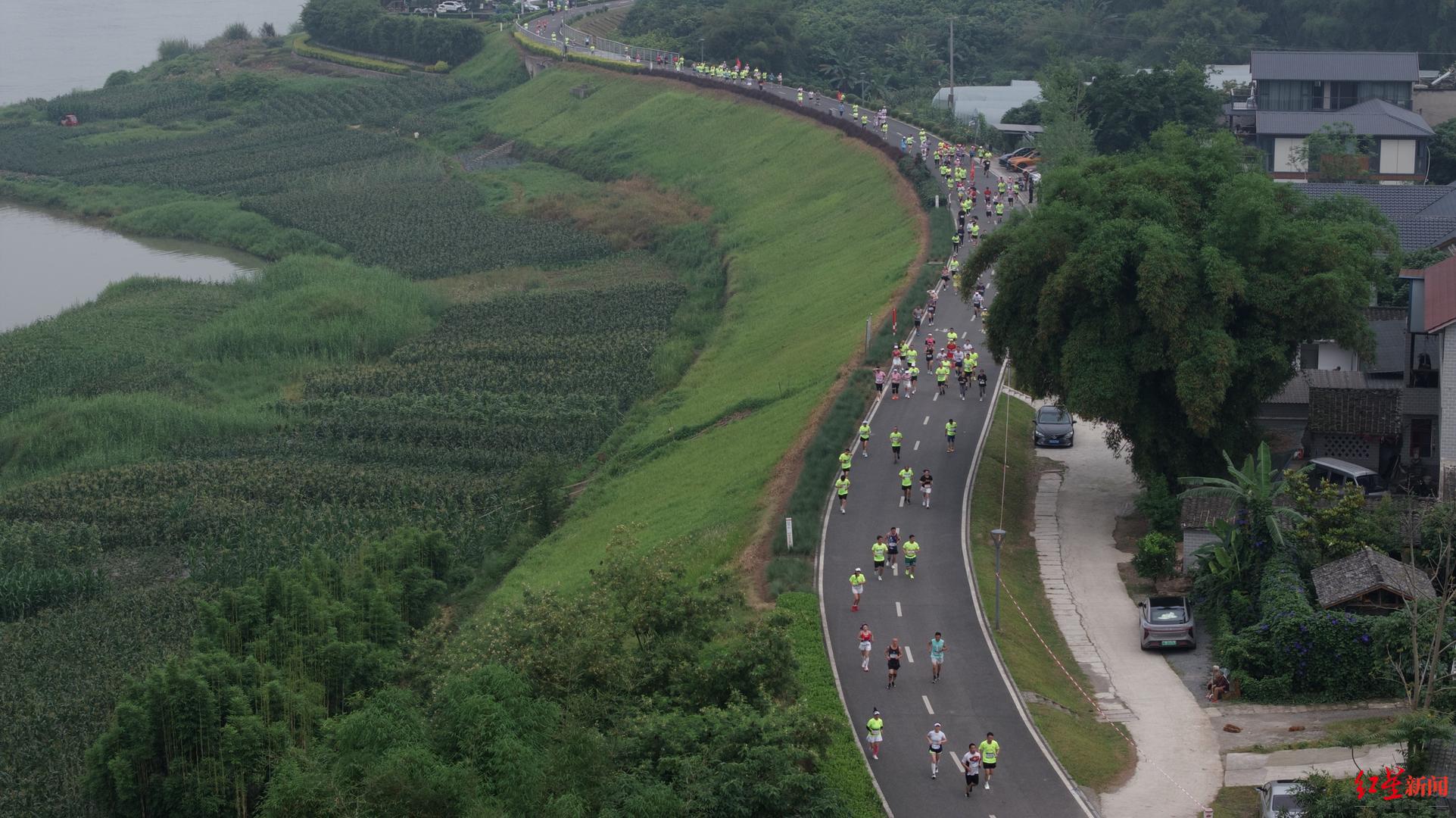 逾3000人参加!奥运冠军杨景辉领跑四川"南溪村跑"