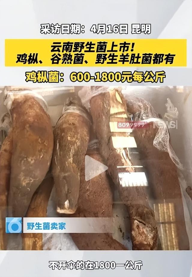 图源：昆明广播电视台春城民生频道官方账号