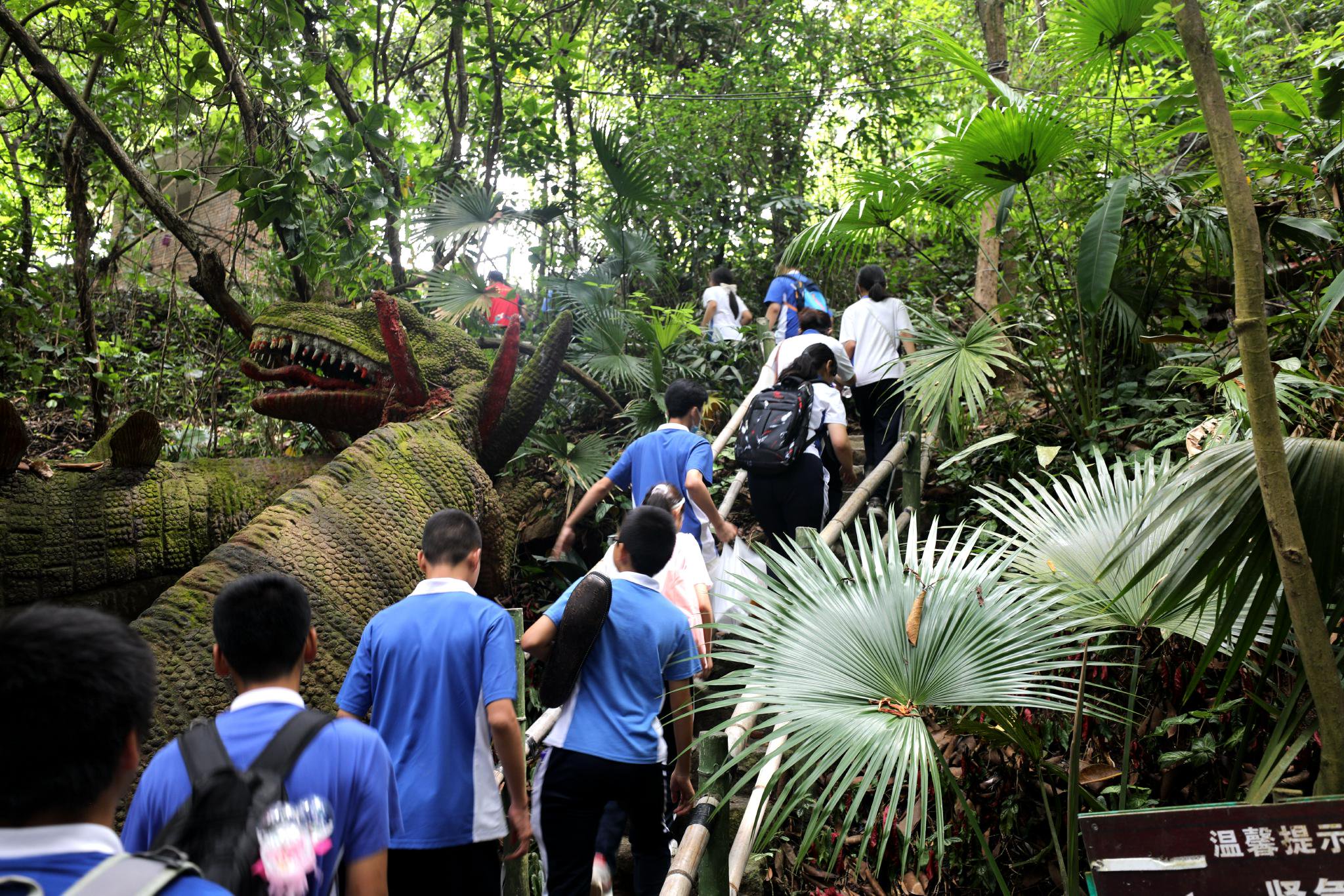 "心连心 梦飞young"  这场普特融合踏青活动很暖心
