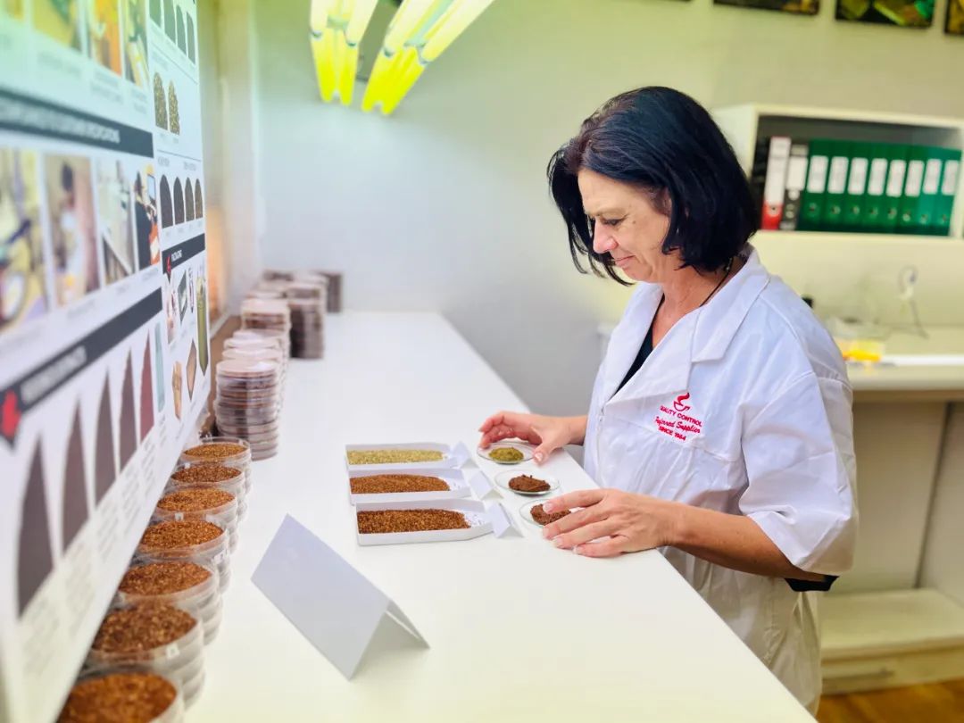 0咖啡因路易博士茶,南非大使馆推荐的健康茶饮,还有限时加赠