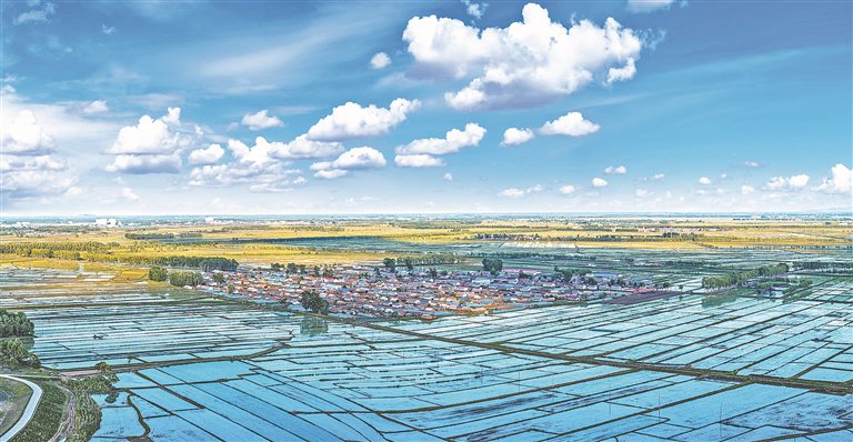 桦川 深耕特色产业 跑出县域经济发展加速度