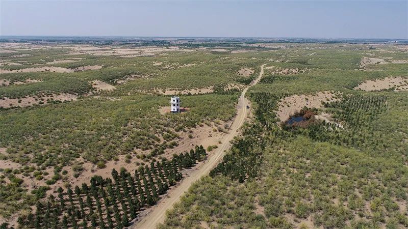 "三北"工程攻坚战在行动·媒体行 | 翁牛特旗:以路治沙 依路致富|赤峰