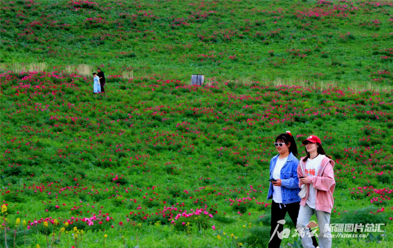 小满至!速看全疆天气情况