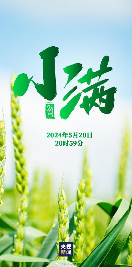 今日小满,恰逢520,愿你诸事正好,恰得小满