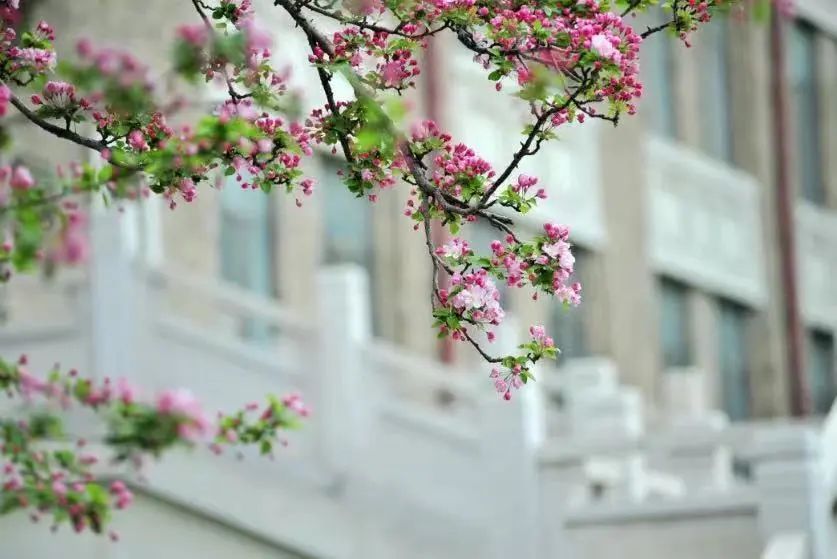 【暖心】天津这所高校,发出邀请