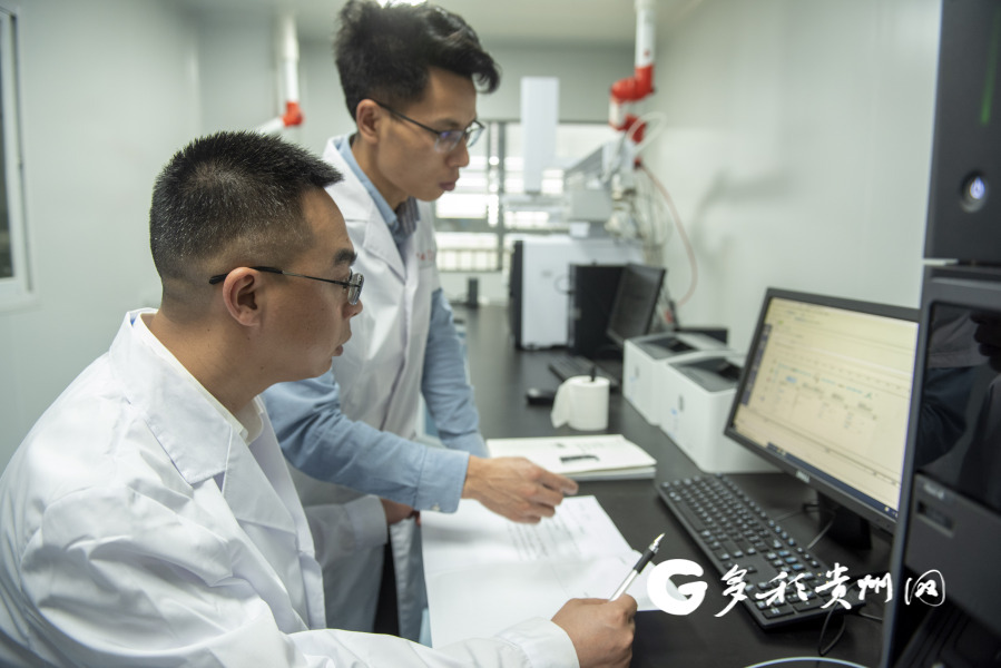 【打卡贵州茶】"茶博士"潘科:黔茶飘香里的"技艺"与"科技"