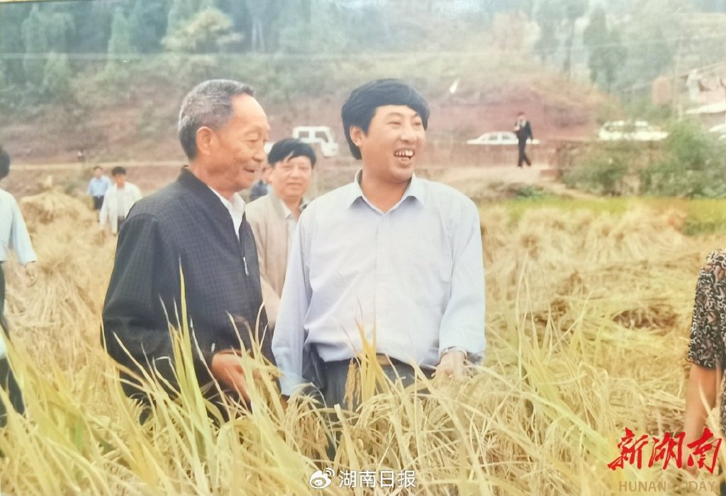 2000年8月，袁隆平院士（左一）在作者（右一）的陪同下，深入到泸溪县兴隆场镇了解百亩连片超级杂交水稻丰产情况