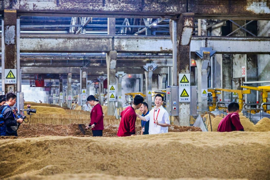 酒香与"和美文化"同频共振,央视频解锁五粮液的另一面!