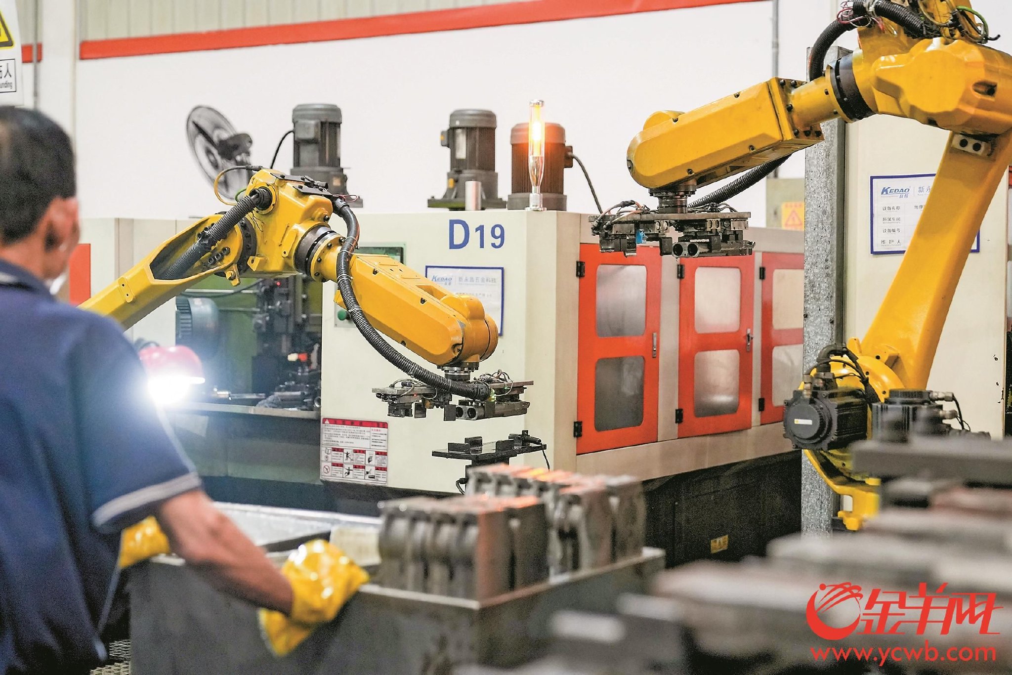 羊城晚报全媒体记者 黄婷在遍地都是五金店的"小五金之乡",出生于1998