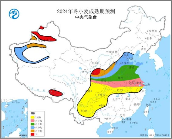 图1  2024年冬小麦成熟期预测