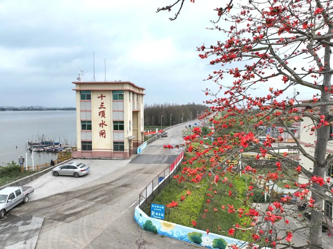 中山版"情侣路",现在这么美!