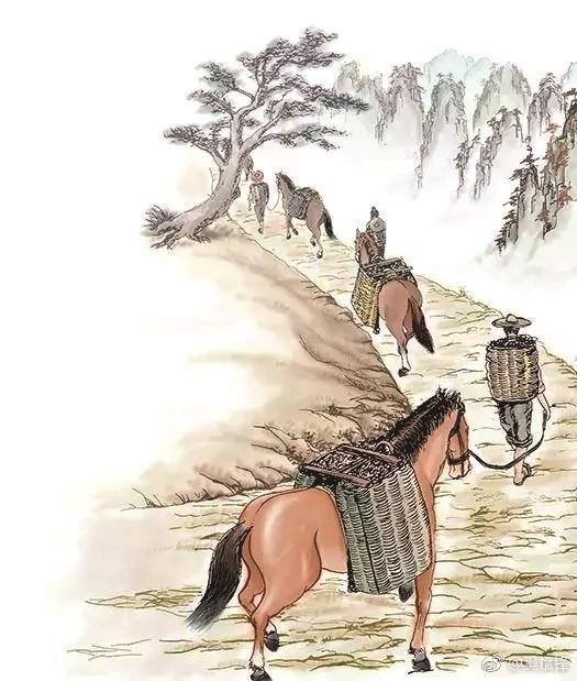 清溪古道的杵窝