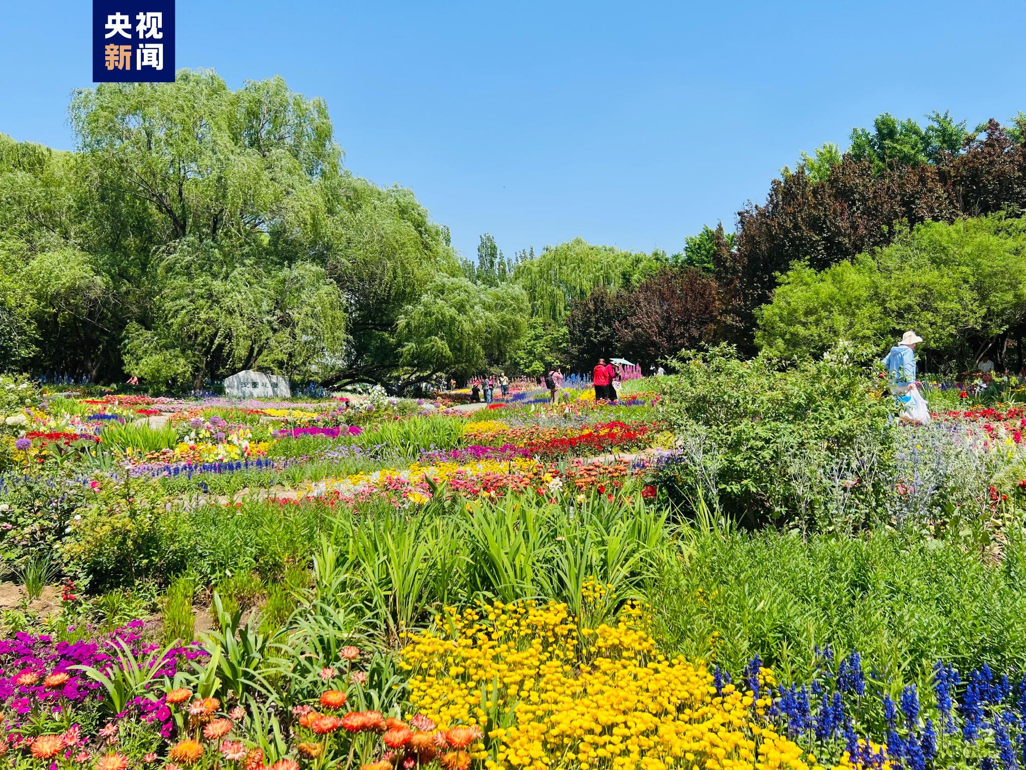 北京城市绿化覆盖率达49.8% 在全国率先建成生态综合感知模型库