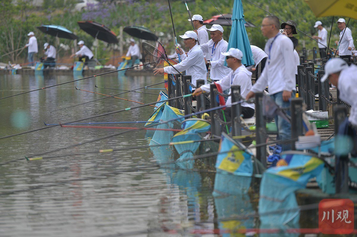 c视觉丨内江:160名钓手同"塘"竞技