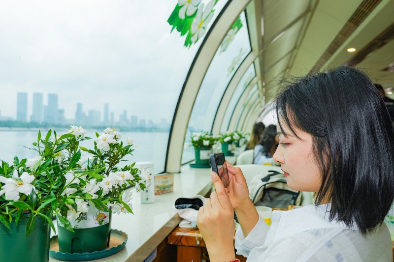 在"520"爱上栀子香,第五届长沙·宁乡栀子花文化旅游推介大会召开