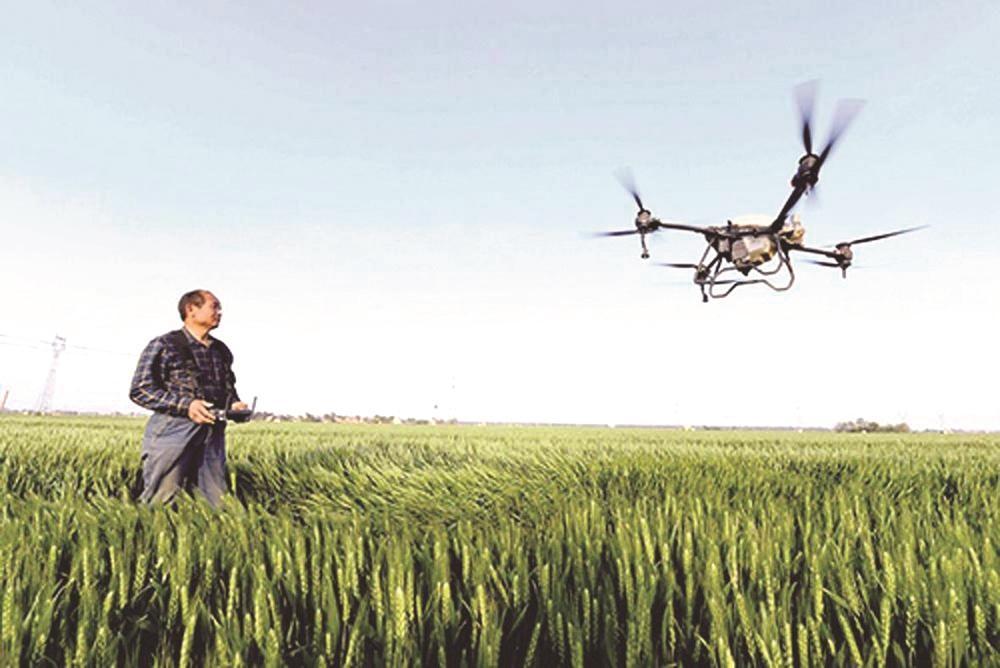 5月6日,成安县道东堡镇大堤西村种植大户朱信涛在用植保无人机为小麦