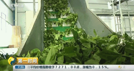 图片来源：央视《第一时间》
