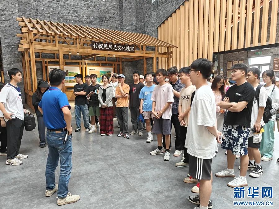 广西武鸣:"三部曲"奏响乡村振兴"新乐章"