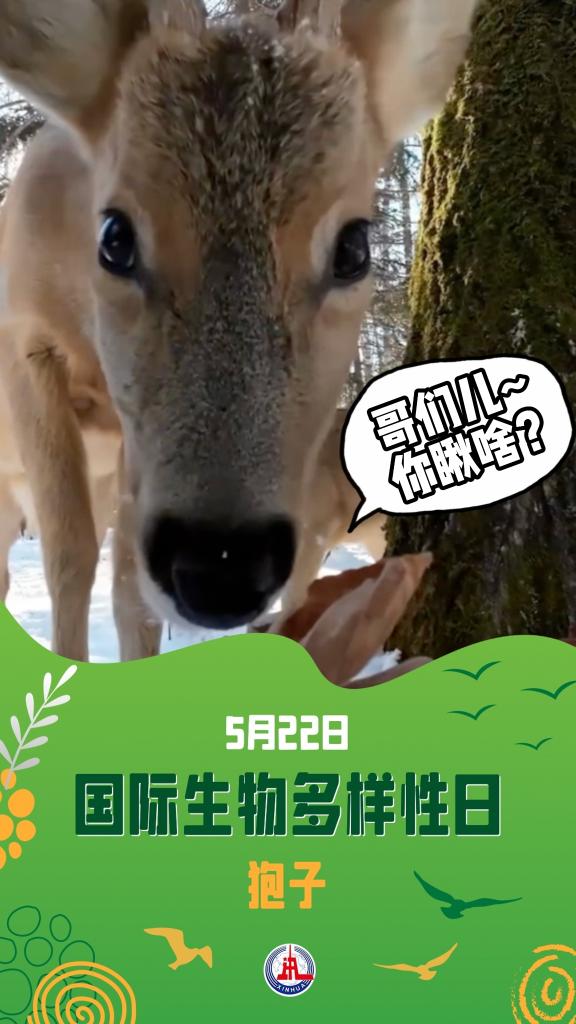 請注意!前方有「萌獸」出沒…… - 新浪香港