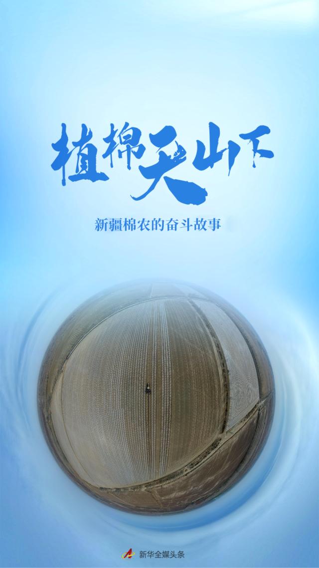 新疆是我国最大的棉花产区,何洪涛的家乡沙湾市是新疆主要的产棉基地.