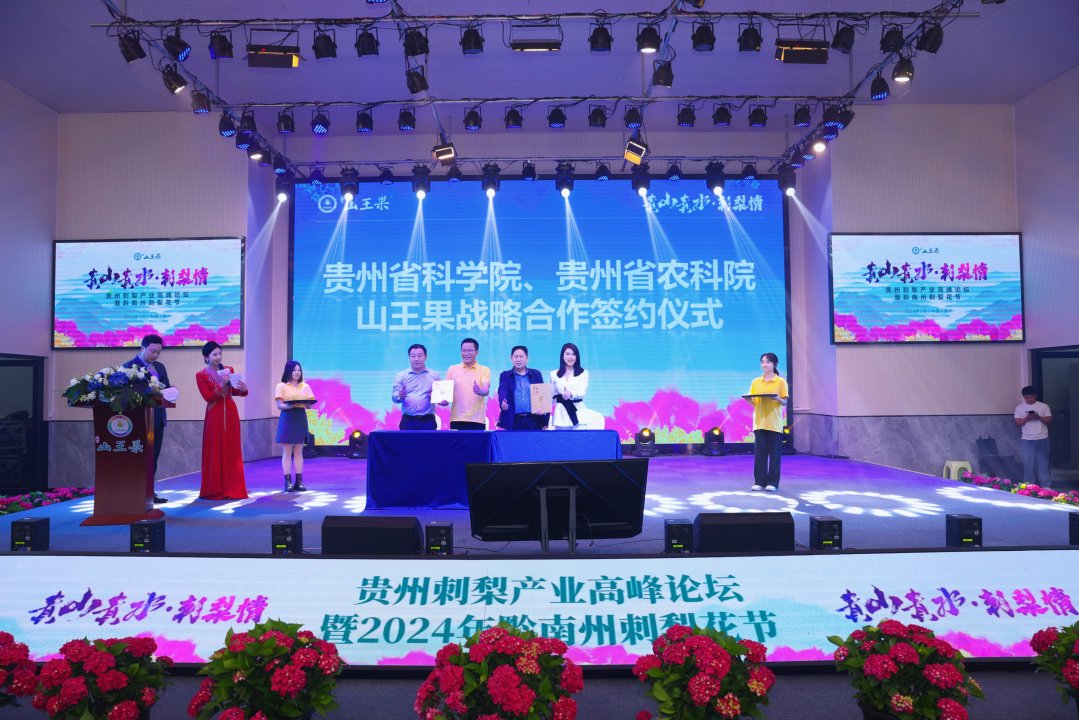 贵州省黔南州贵定县委副书记王伟超在致辞时表示,贵定县刺梨产业是