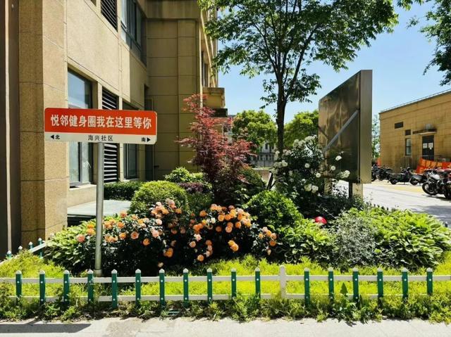 海湾镇海兴社区居委"组合拳"式"精"治理,激活社区治理"一江春水"!
