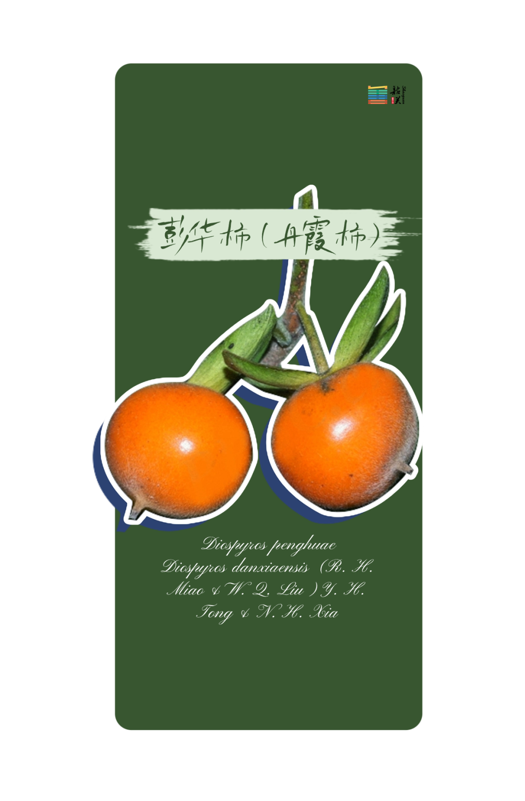 韶关邀你来看"神奇植物"!