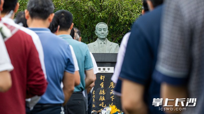 是袁隆平院士逝世三周年,人们纷纷前往长沙唐人万寿园陵墓,湖南省水稻