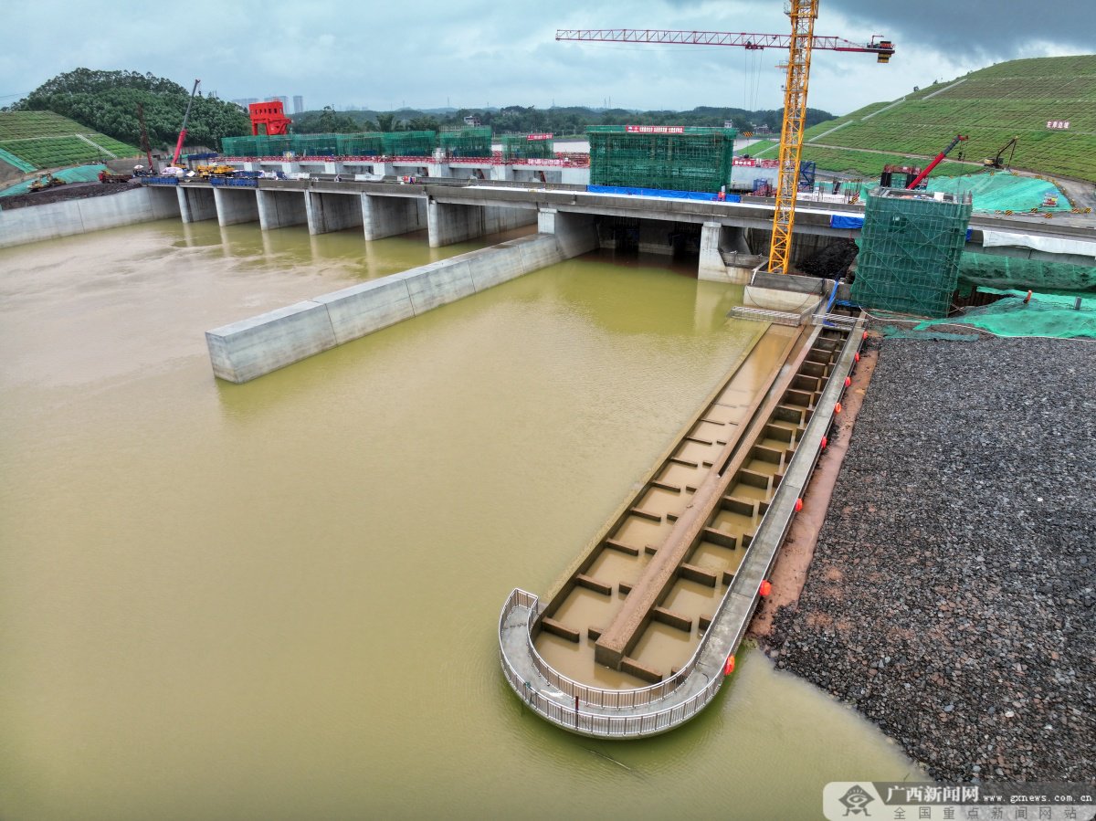 行走平陆运河③丨回家的路|鱼_新浪财经_新浪网