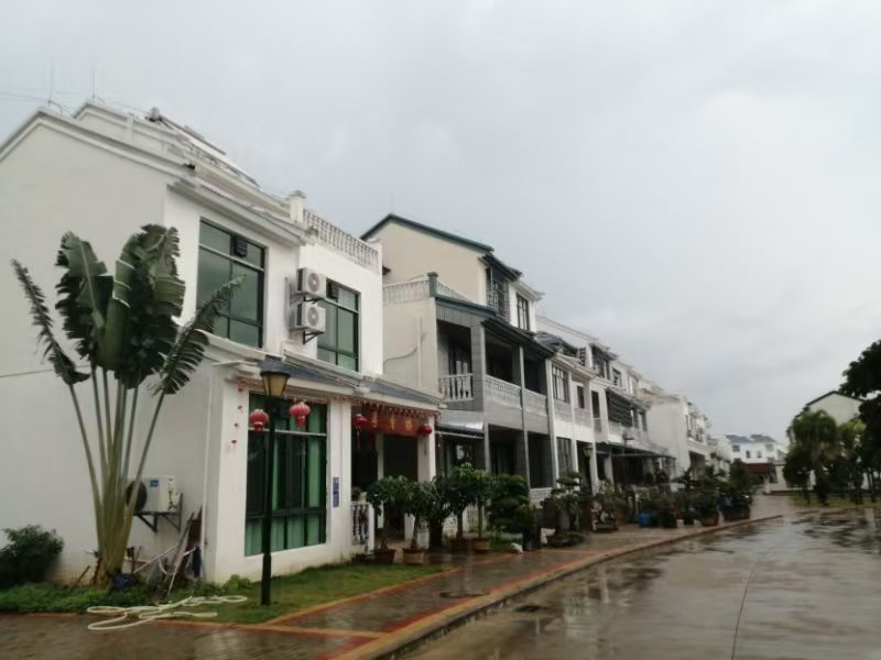 走进三亚南山村,精心修剪的盆景随处可见.