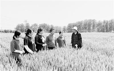 科技小院指导教师林文（右一）与学生及农户交流小麦管理意见。受访者供图
