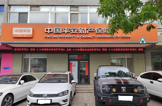 辽宁平安产险:盘锦中支积极开展"5.15"打击和防范经济犯罪宣传活动