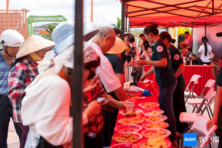 以苗会友!2024年首届白沙海垦大岭苗木(农产品)展销会举办