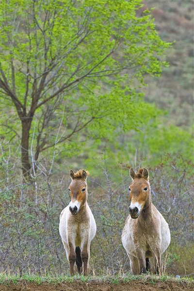 生物多样  尽显生态之美
