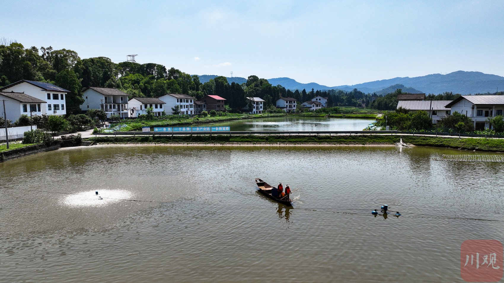 "平昌县水产渔政局局长李毅告诉记者,抓好保护的同时,平昌县引入龙头
