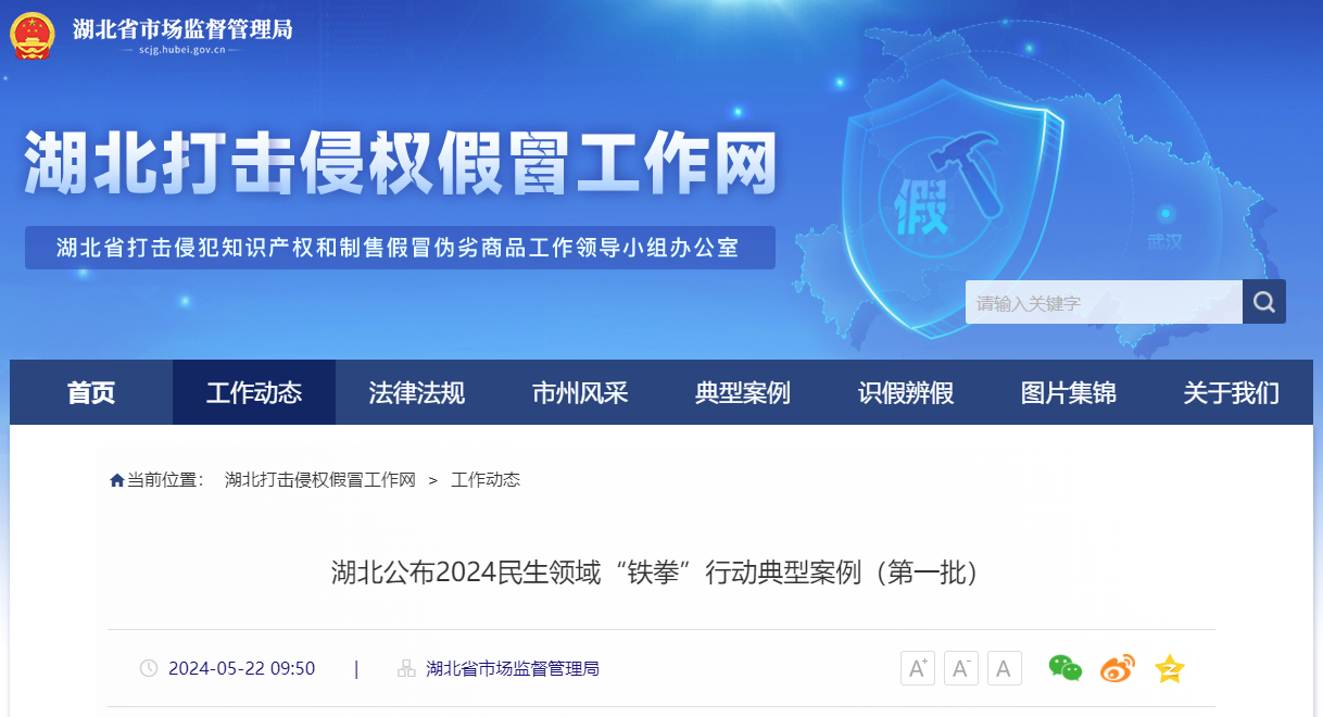 湖北公布2024民生领域"铁拳"行动典型案例(第一批)