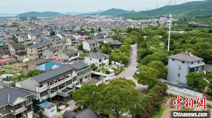 沿着东海百里文廊马岙段走进舟山市定海区马岙街道南部的马岙村,沿线